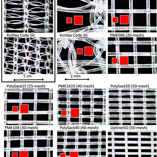 thumbnail for publication: A Close-up Look at Screens for Excluding Asian Citrus Psyllids